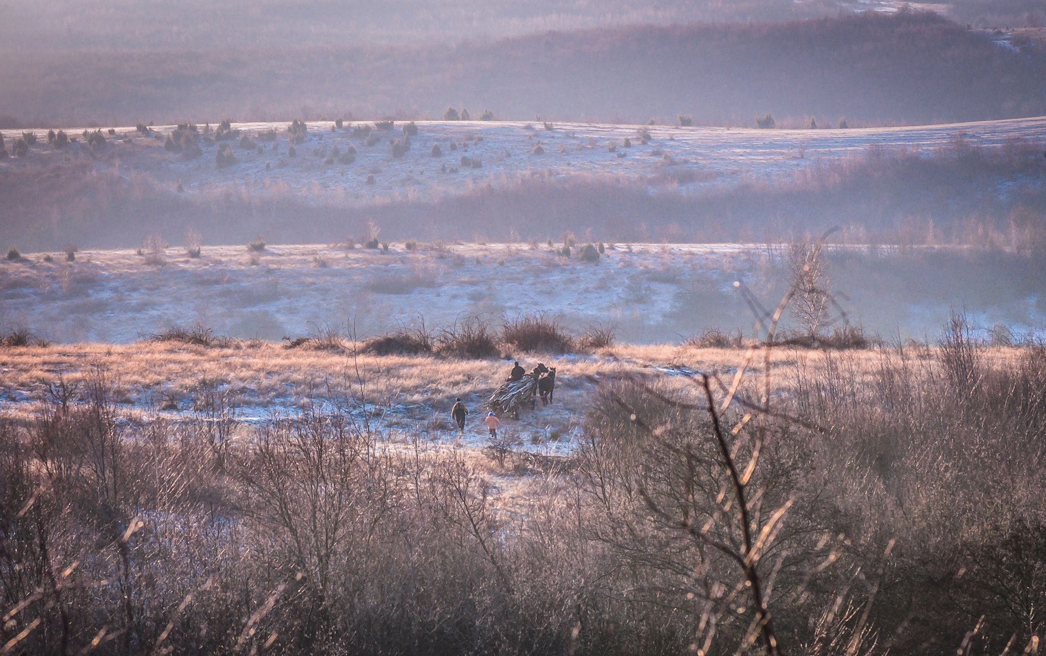Nikon AF-S Micro-Nikkor 105mm F2.8G IF-ED VR sample photo. Gypsy cart. Циганський віз. photography
