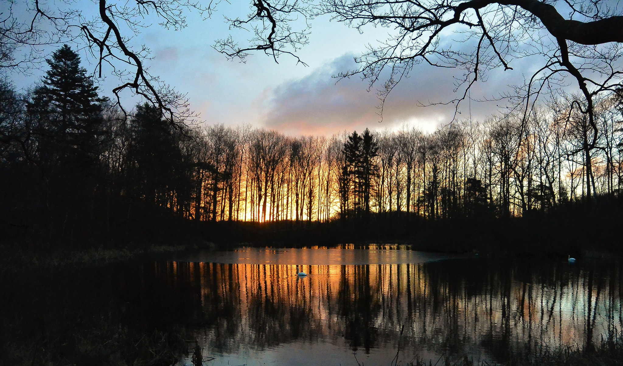 Nikon 1 Nikkor 11-27.5mm F3.5-5.6 sample photo. A winter morning... photography