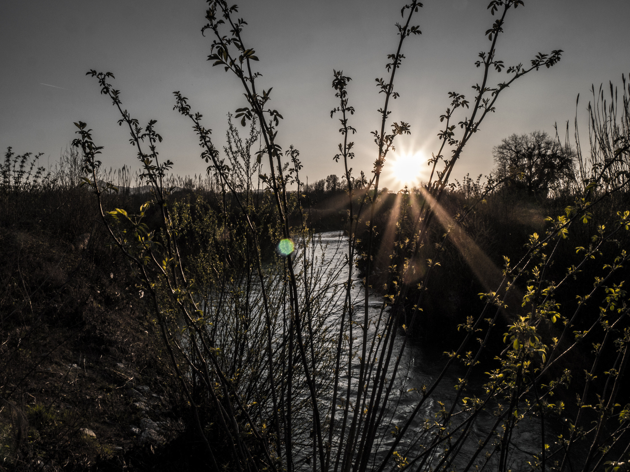Panasonic Lumix DMC-G6 sample photo. Sunset on senio river photography