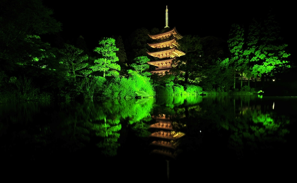 Nikon D300 sample photo. 迎春 photography