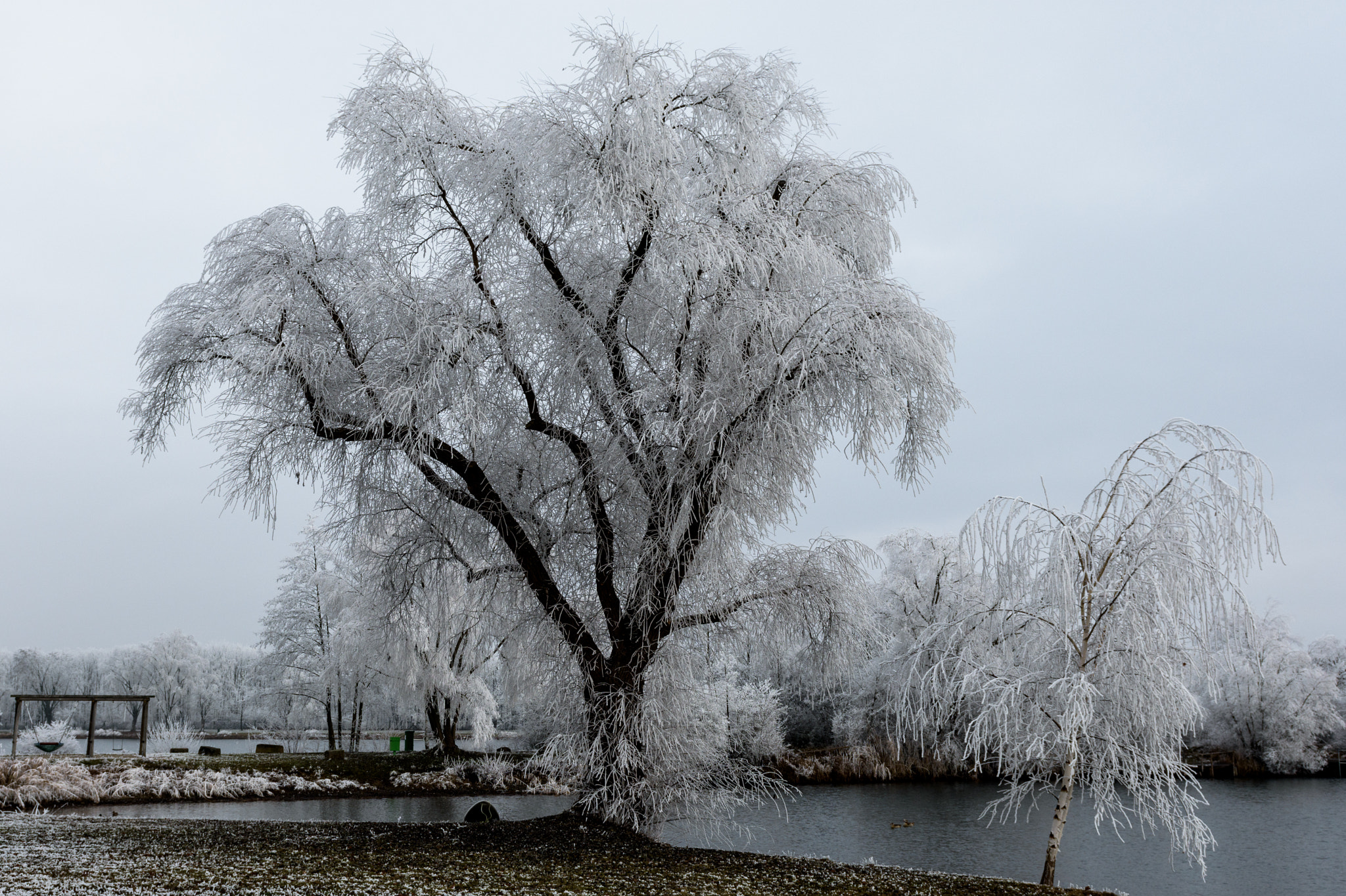 Nikon AF-S Nikkor 24-70mm F2.8G ED sample photo. Eisbaum photography