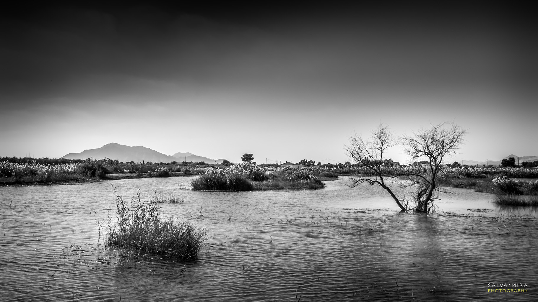Canon EOS 50D sample photo. El fondo d'elx photography