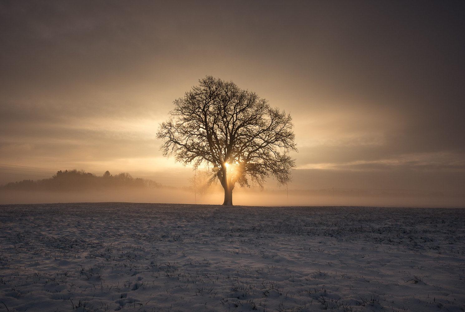 Pentax K-3 II sample photo. Bavaria awakens ... photography
