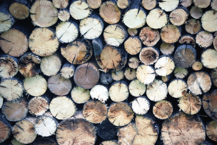 Nikon D60 sample photo. Wood photography