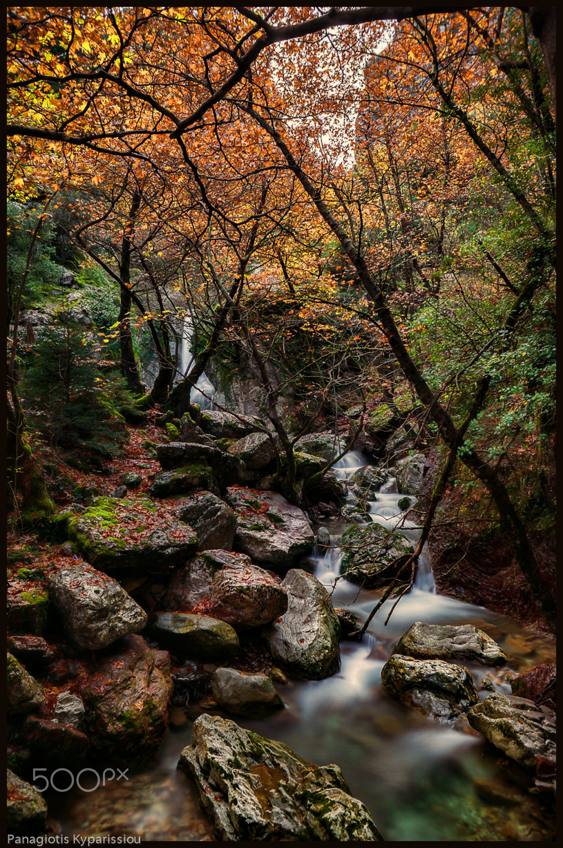 Sony Alpha NEX-6 + Sony E 16mm F2.8 sample photo. Autumn mood photography