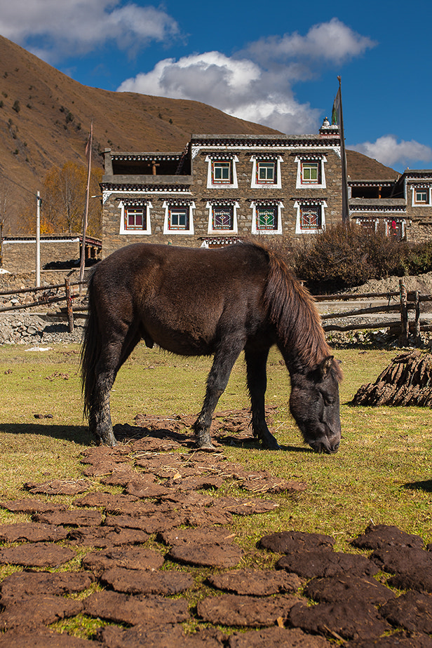 Canon EOS 40D + Canon EF 17-40mm F4L USM sample photo. 新都橋 photography