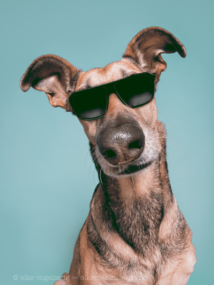 Risky Business by Elke Vogelsang on 500px.com