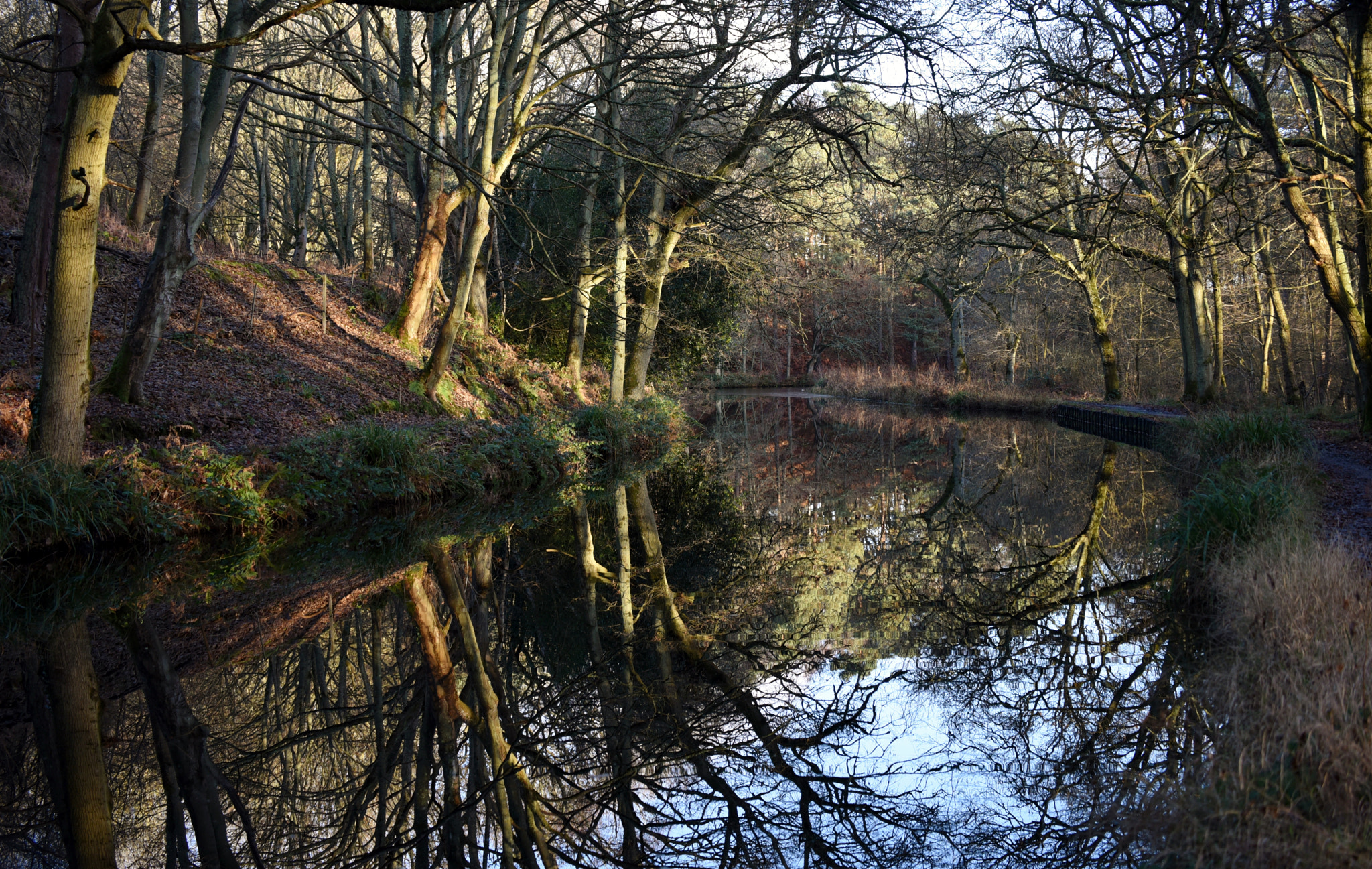 Sigma 50-500mm F4.5-6.3 DG OS HSM sample photo. Basingstoke canal deepcut 2 january 2017 205 photography
