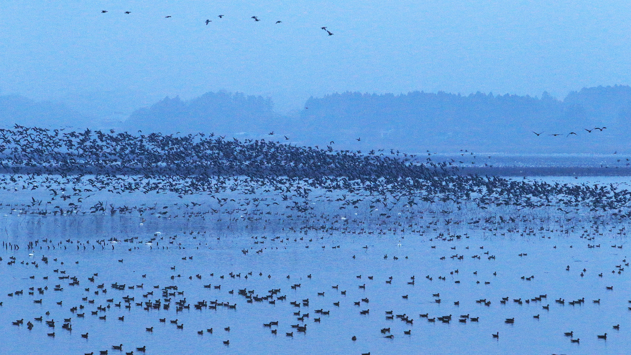 Canon EF 70-200mm F2.8L USM sample photo. Impressive moment photography