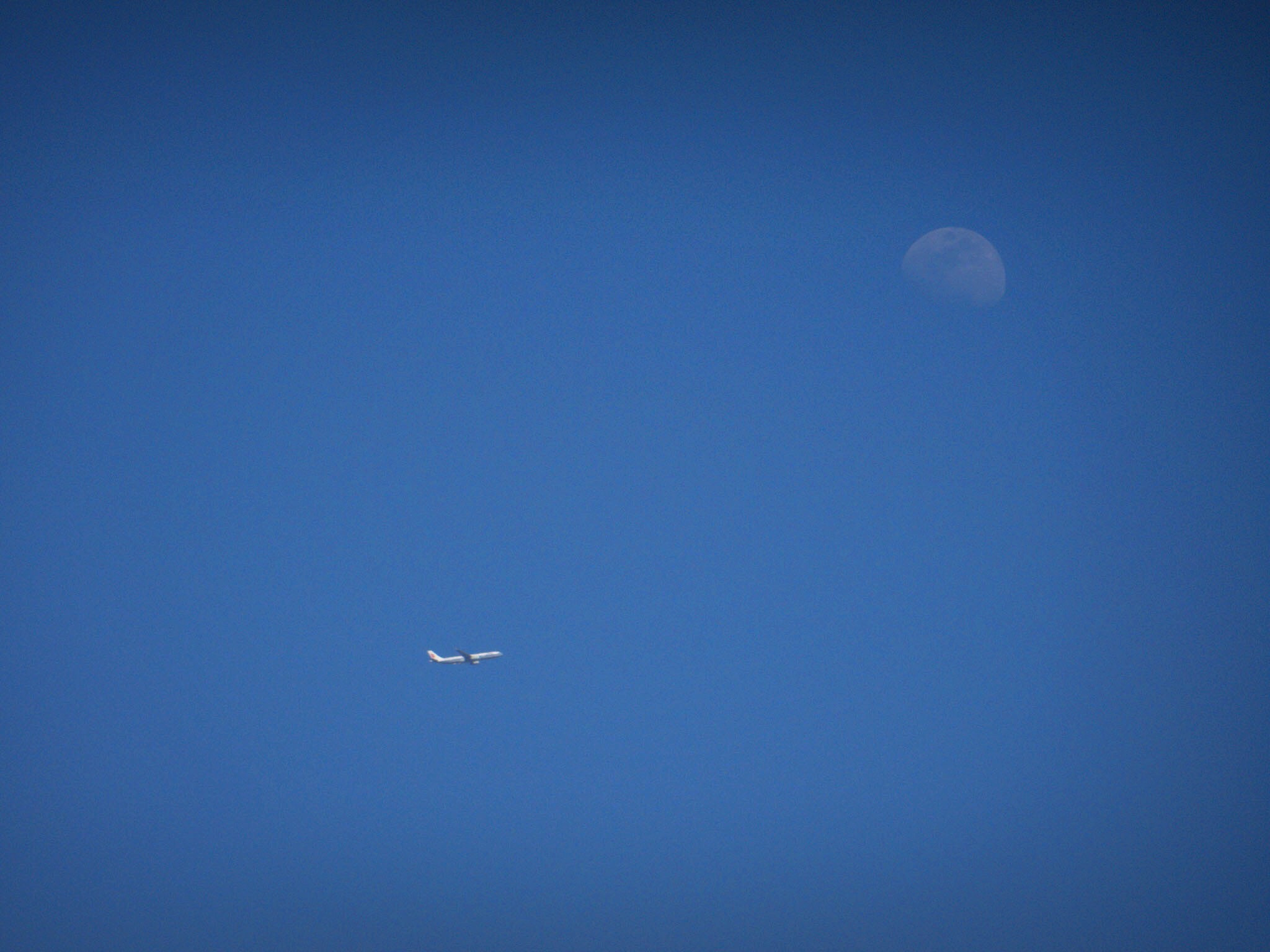 CASIO EX-ZR800 sample photo. Flight photography