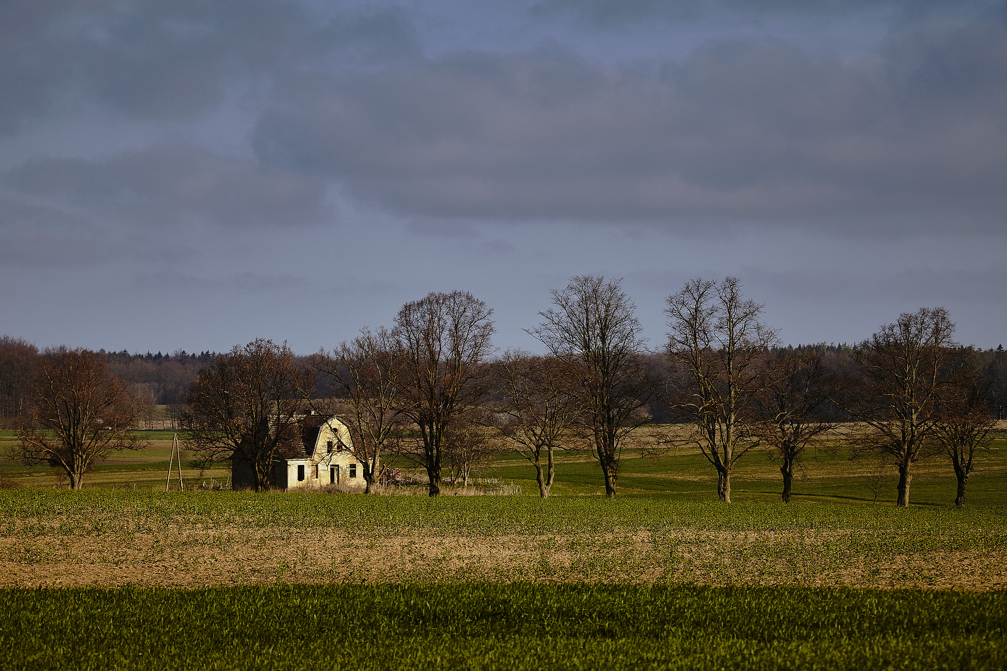Tamron SP 150-600mm F5-6.3 Di VC USD sample photo. Abadoned house photography