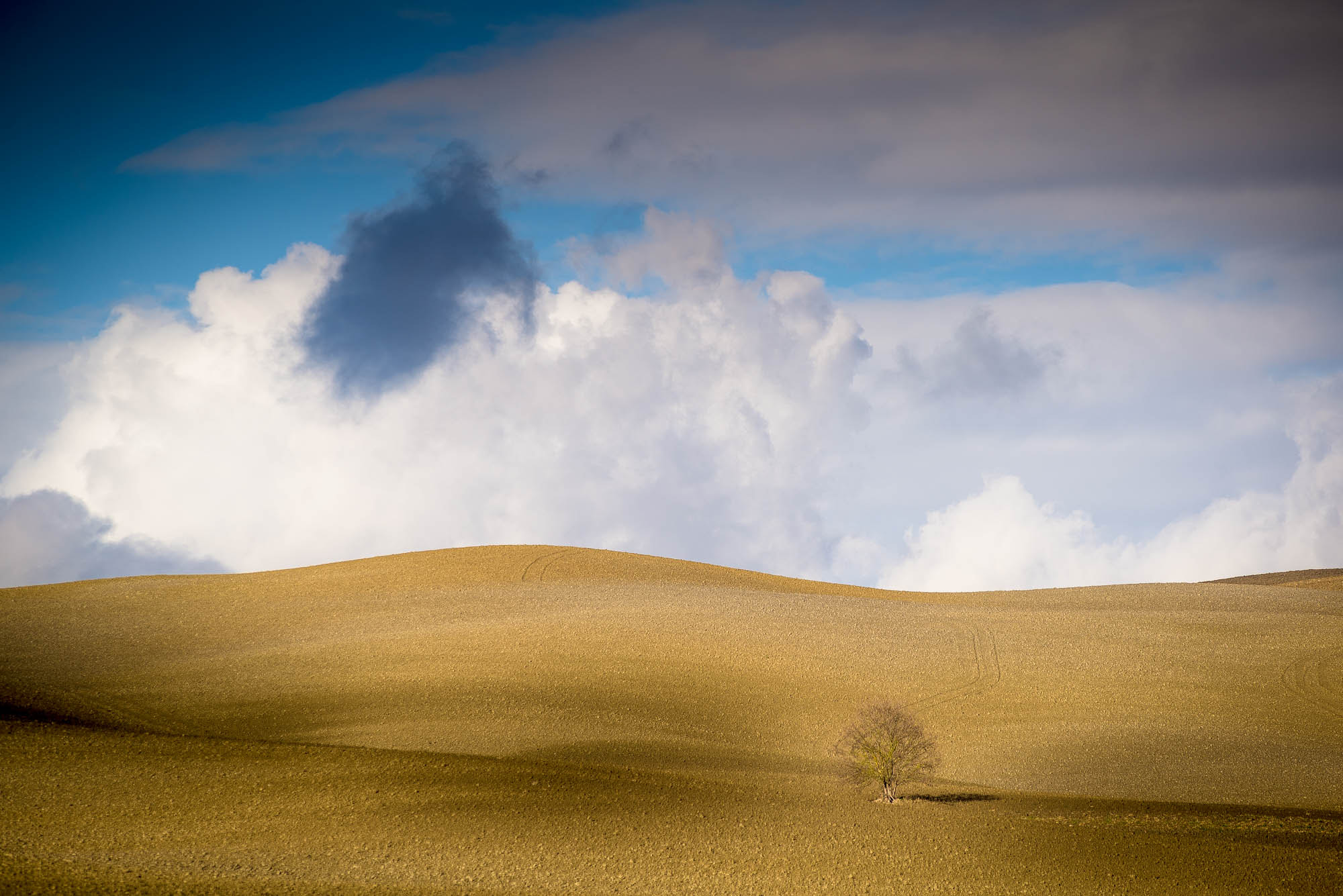 AF Zoom-Nikkor 80-200mm f/2.8 ED sample photo. Pixcube.it riserve naturali delle crete senesi photography