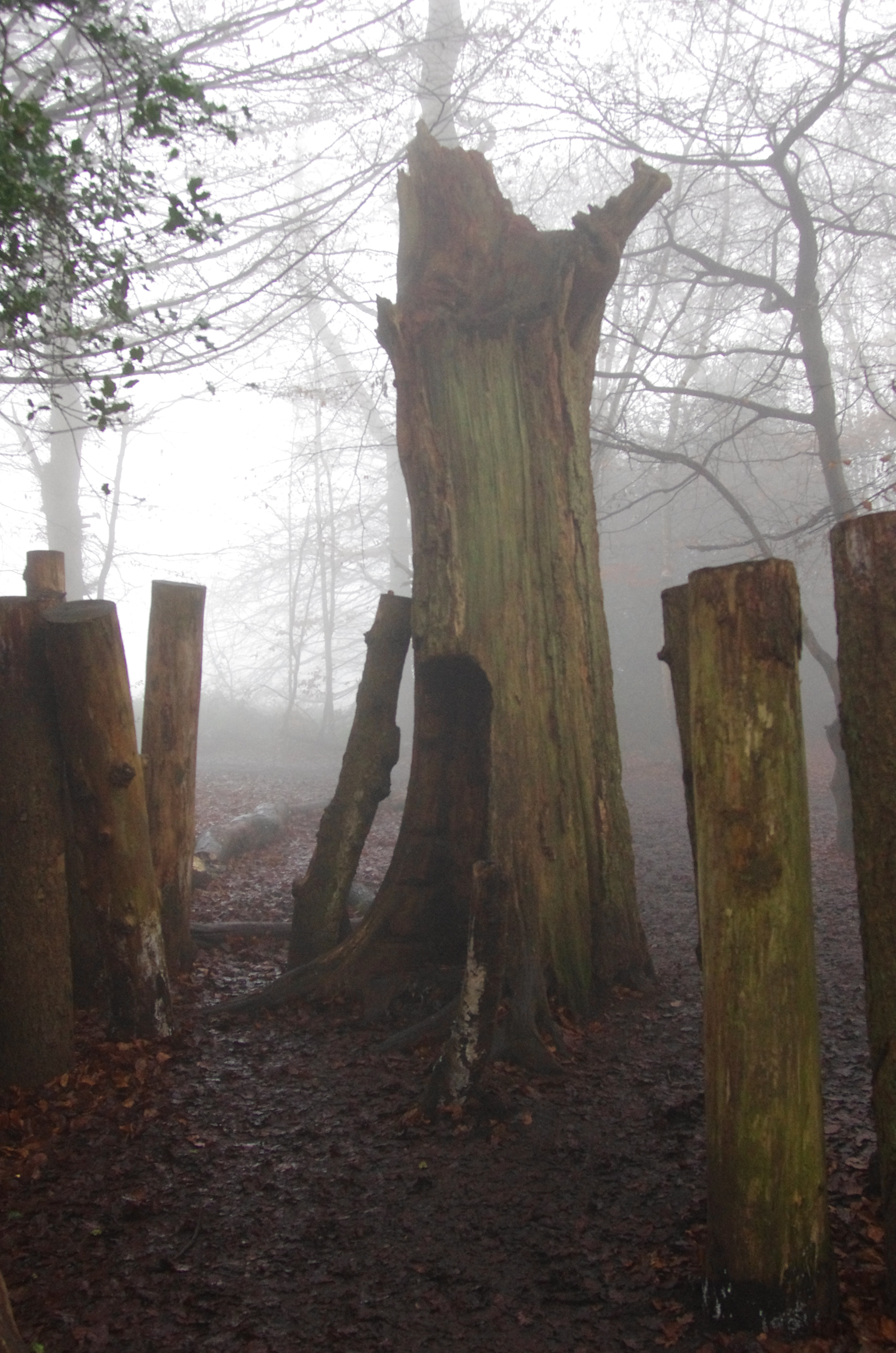 Pentax K-5 sample photo. Box hill in the fog photography