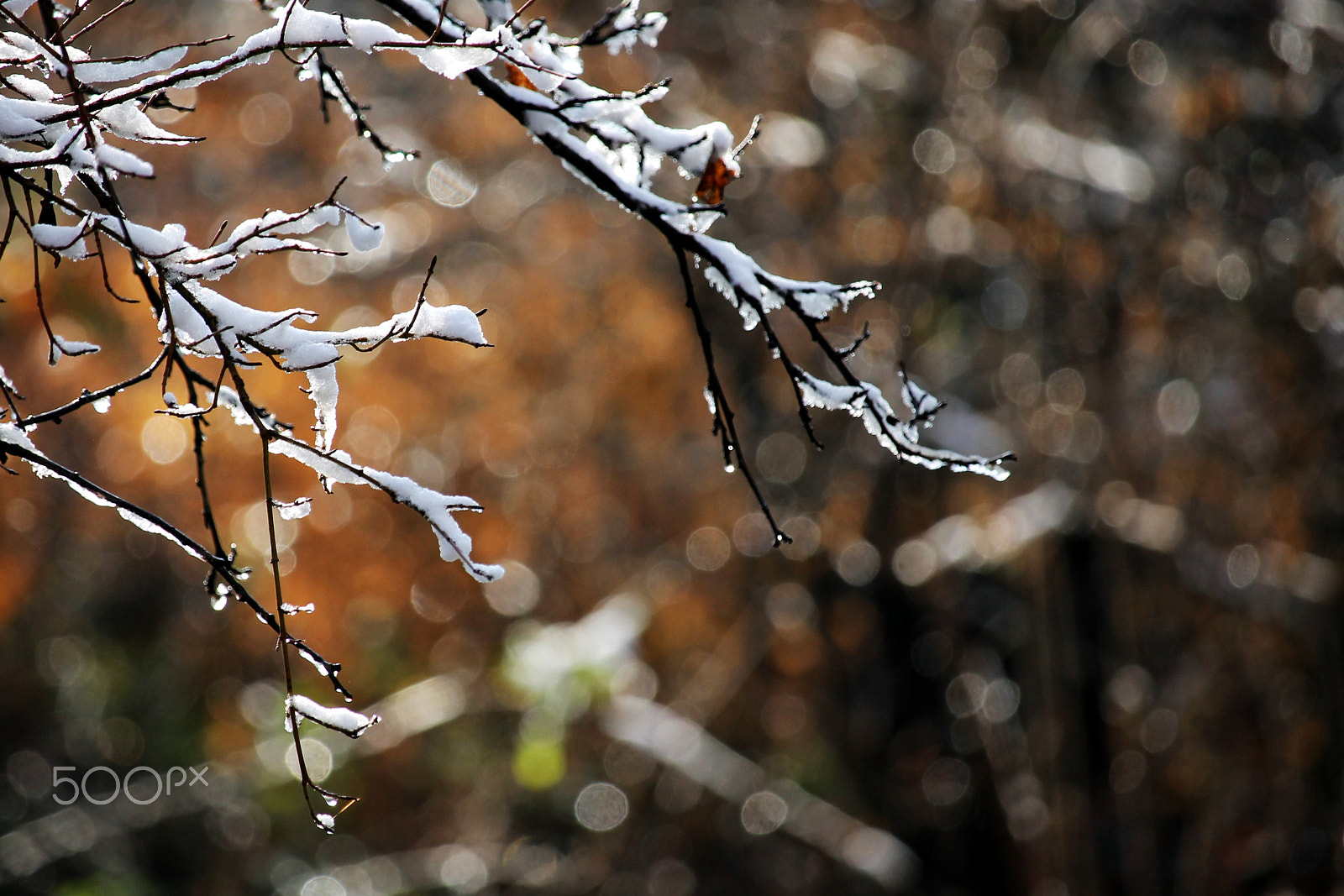 Canon EF-S 55-250mm F4-5.6 IS STM sample photo. Snow photography