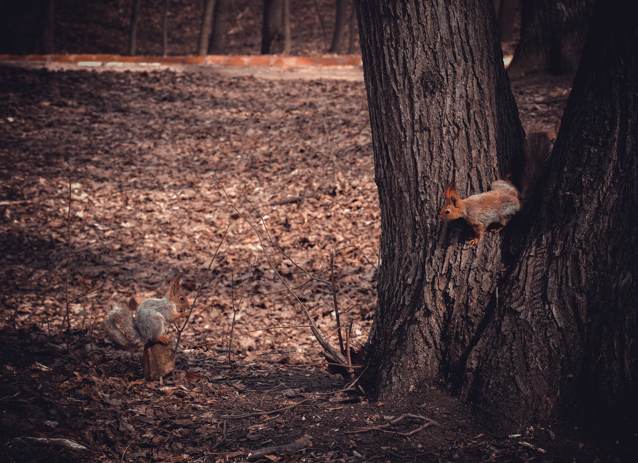 Fujifilm X-E2 + Fujifilm XC 50-230mm F4.5-6.7 OIS sample photo. Vnvth photography