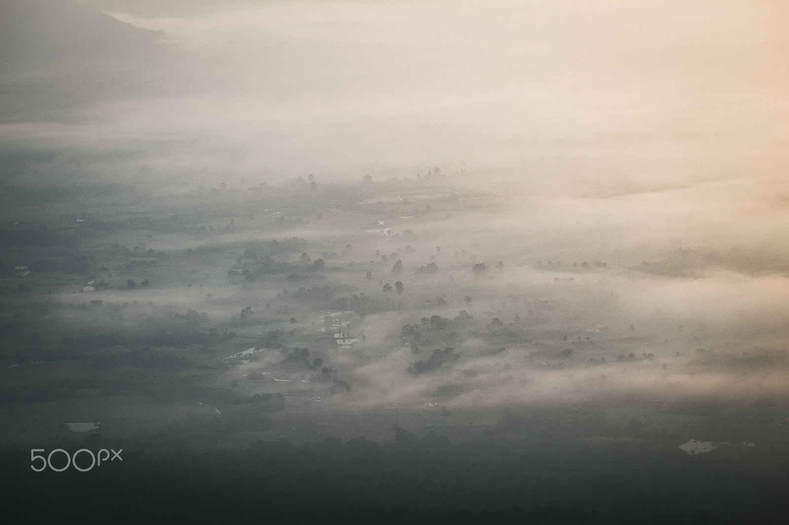 Sigma 50-100mm F1.8 DC HSM Art sample photo. Fog photography