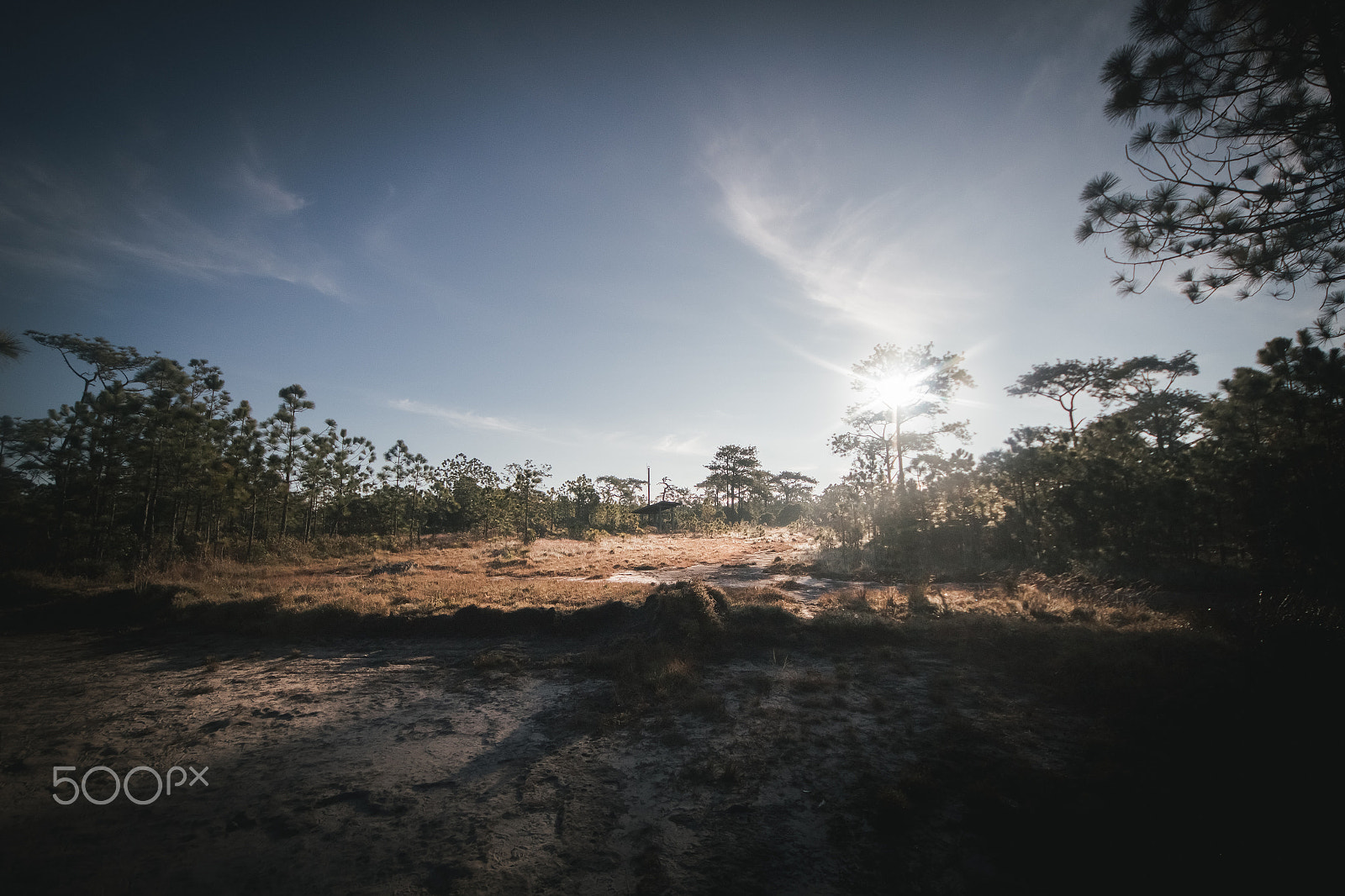 Sigma 8-16mm F4.5-5.6 DC HSM sample photo. The earth photography