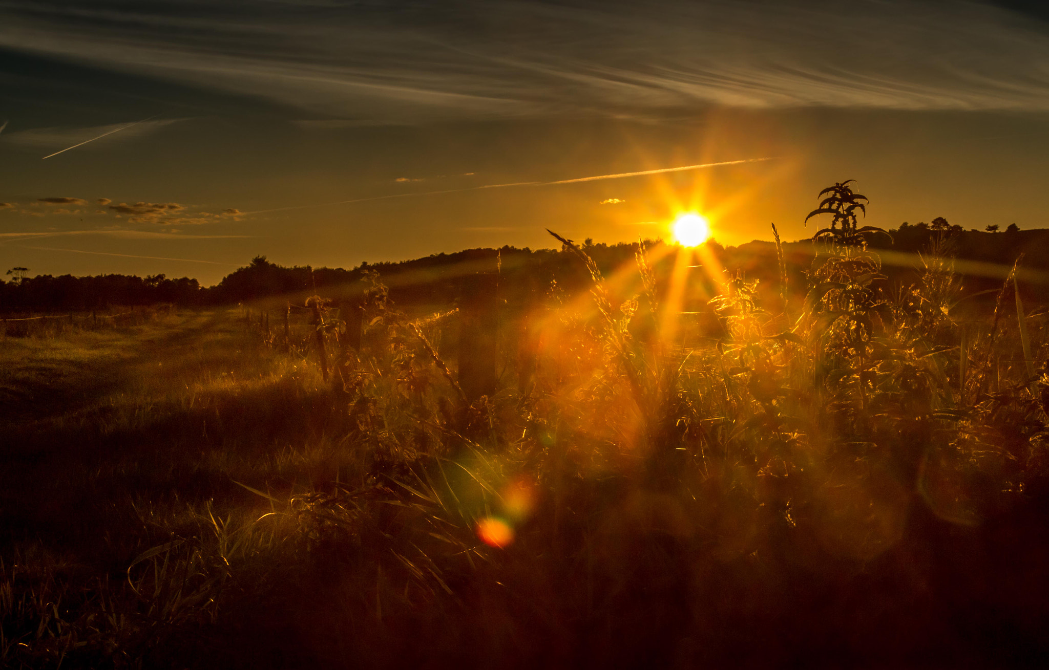 Canon EOS 70D + Canon EF 24-70mm F2.8L USM sample photo. Staring at the sun photography