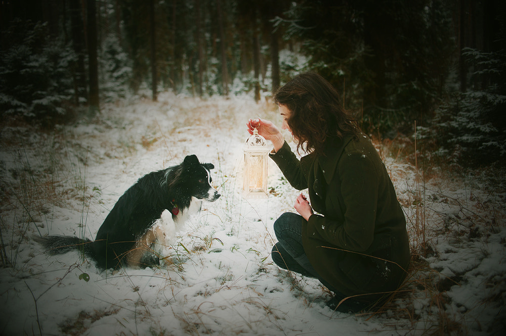 Nikon D700 + Nikon AF-S DX Nikkor 35mm F1.8G sample photo. Narnia #54 photography
