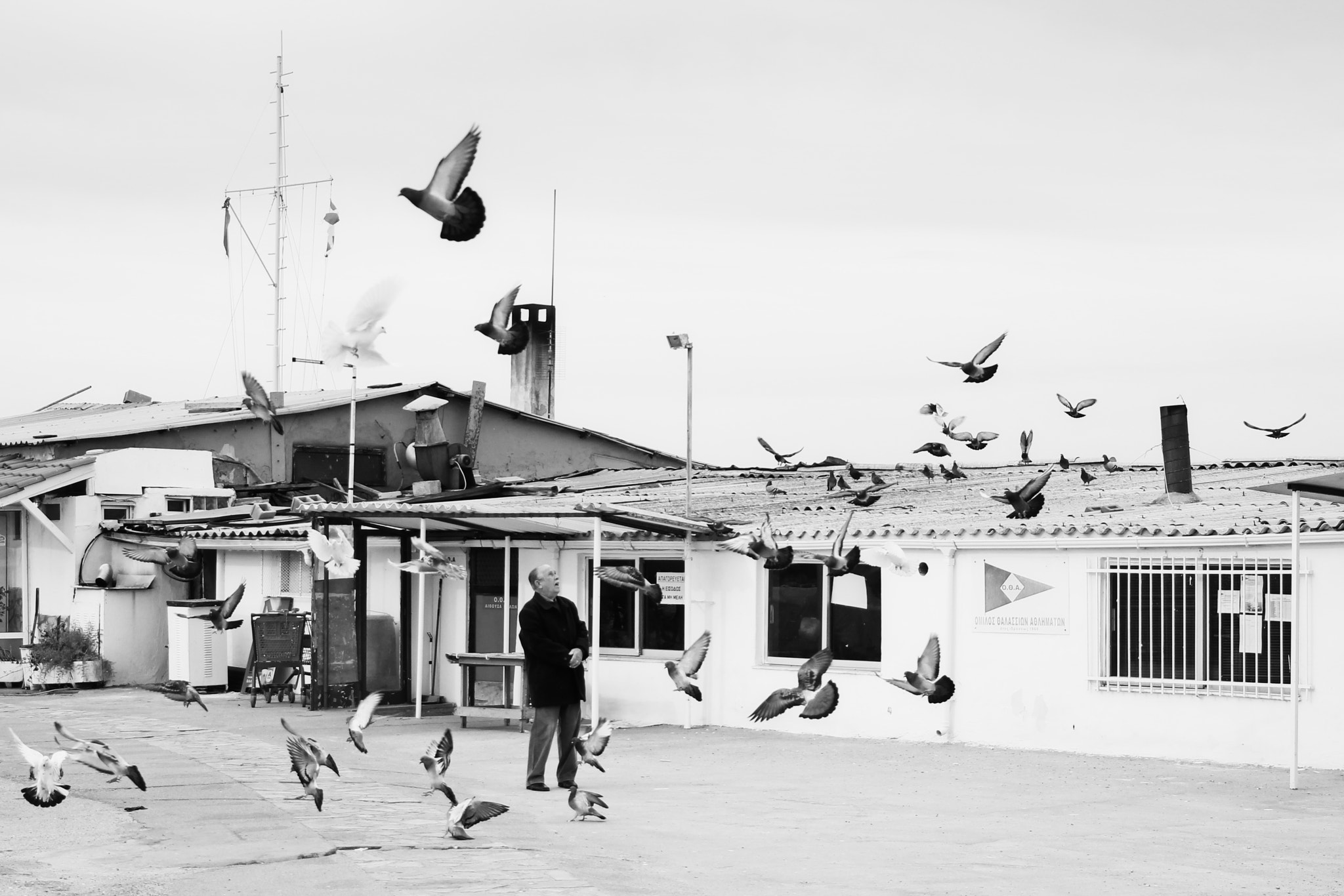 Canon EF 24-105mm F3.5-5.6 IS STM sample photo. Old man and the pigeons photography