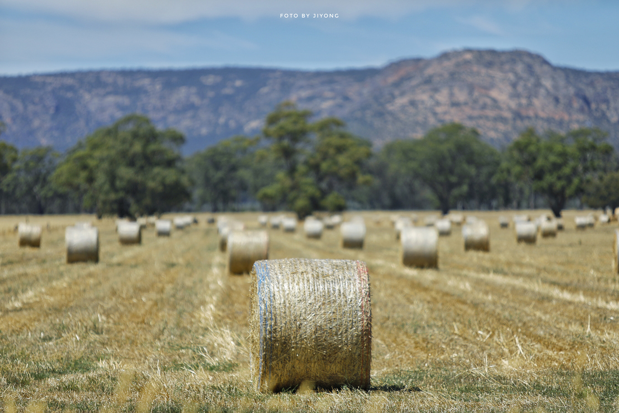 Canon EF 70-200mm F2.8L IS USM sample photo. Grass photography