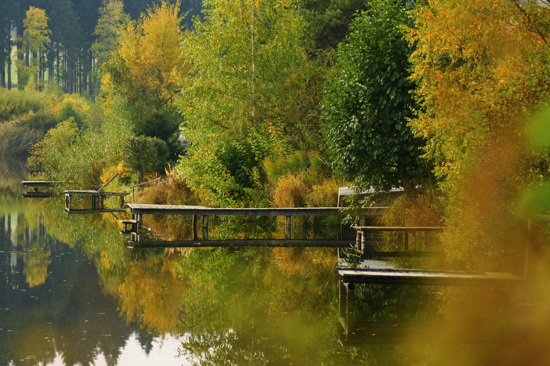 Sony Alpha DSLR-A700 + Tamron SP AF 90mm F2.8 Di Macro sample photo. Autumn pond photography