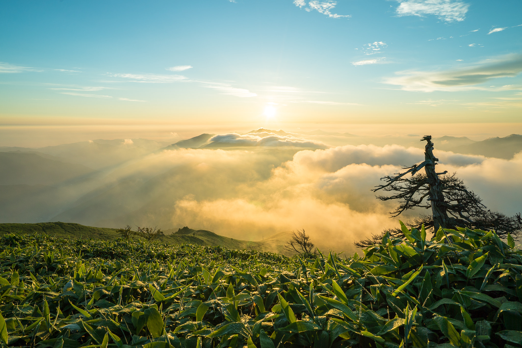 Sony a7S + Sony Vario-Tessar T* FE 16-35mm F4 ZA OSS sample photo. Dsc photography