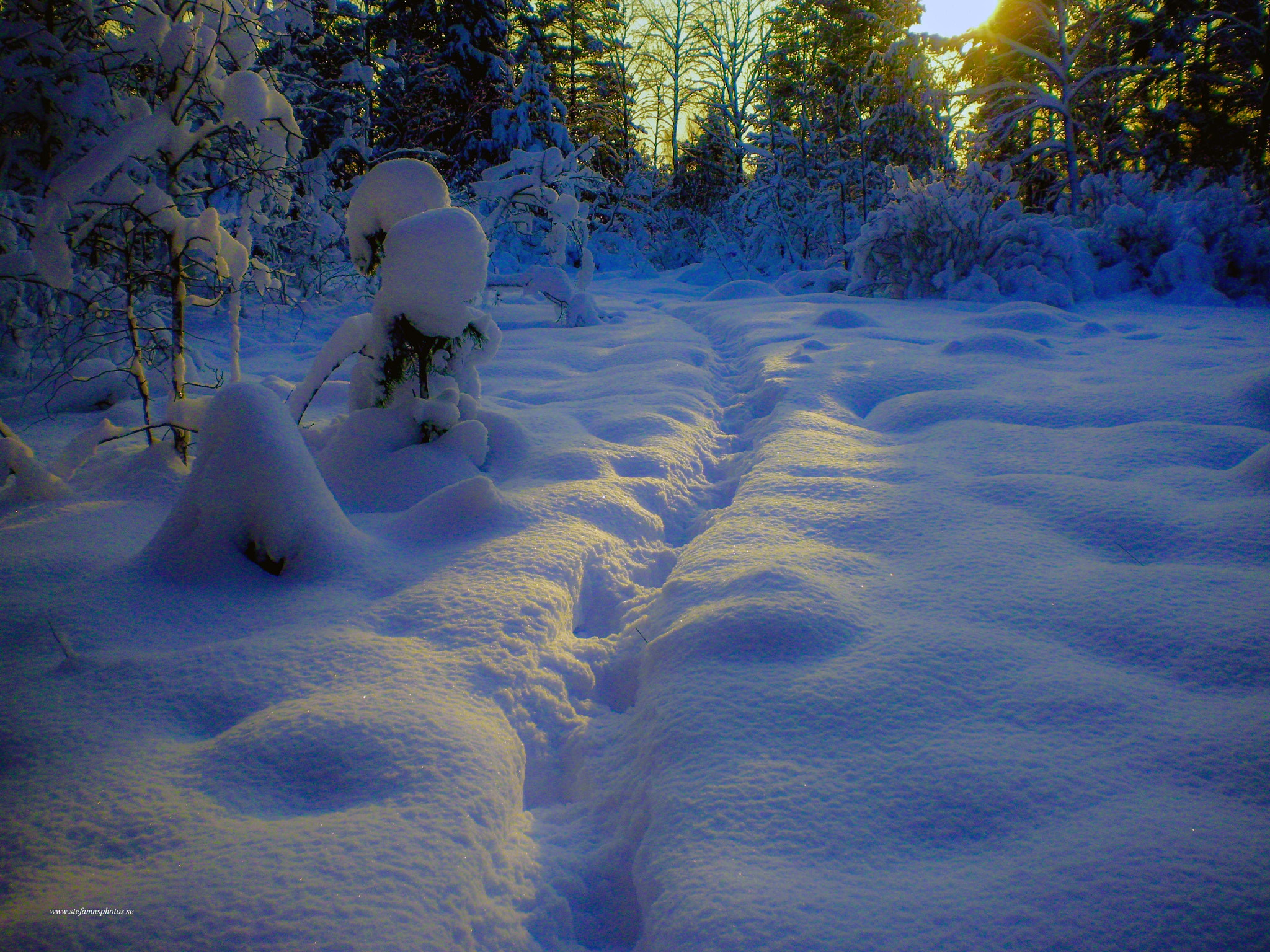 SANYO X1200 sample photo. Footsteps in the snow photography
