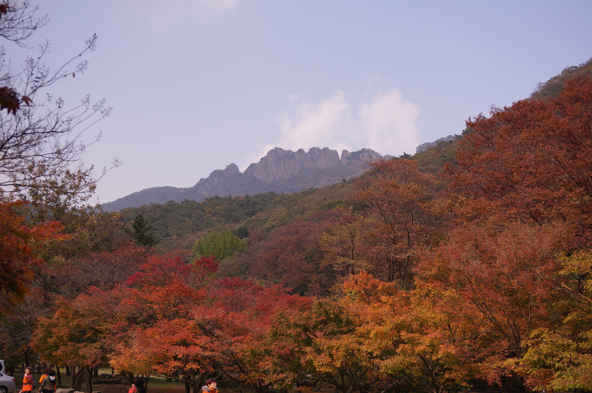Sony Alpha NEX-5T + Sony E 18-50mm F4-5.6 sample photo. Naejangsan photography