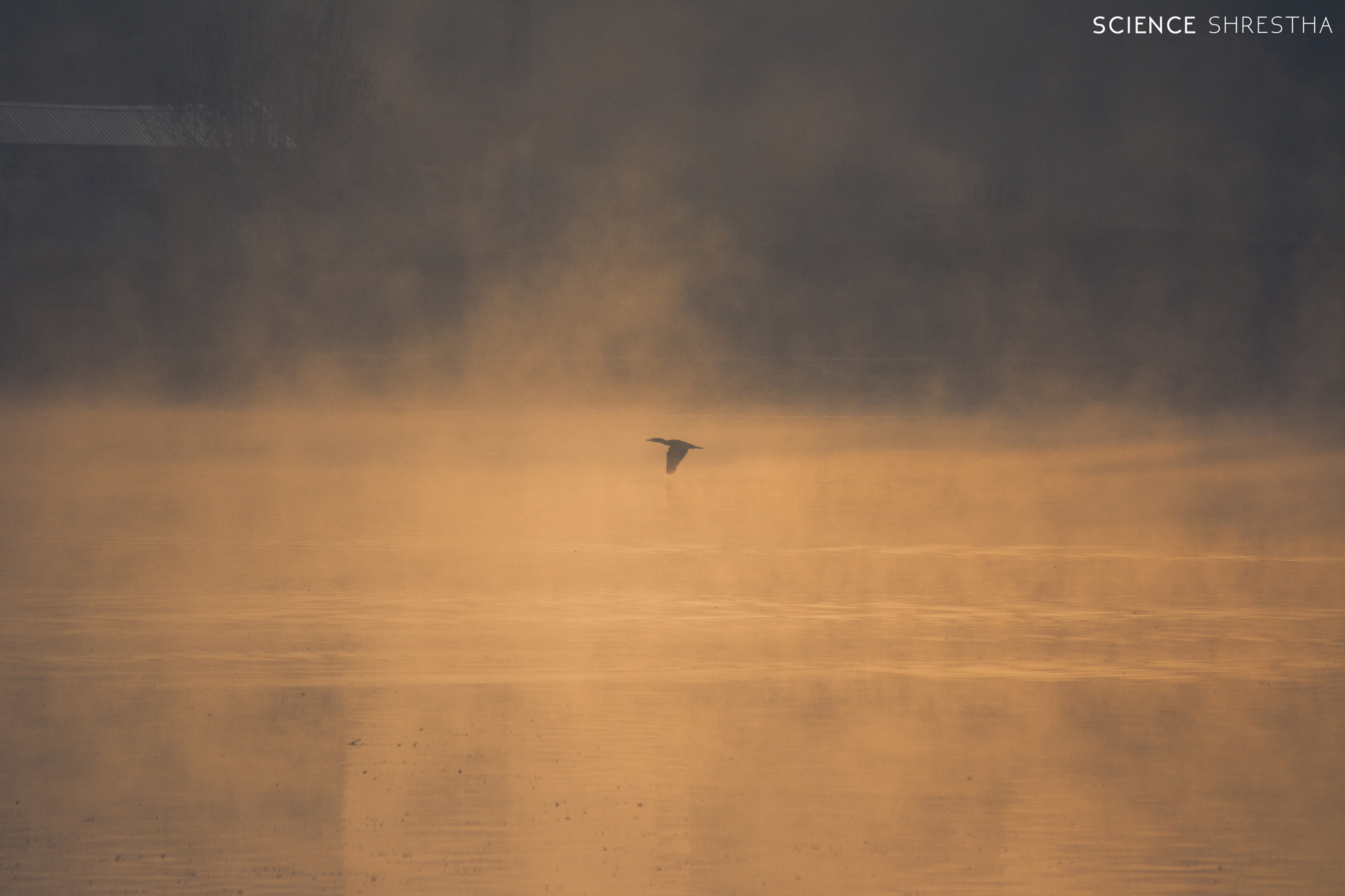 Canon EF-S 55-250mm F4-5.6 IS sample photo. Mist photography