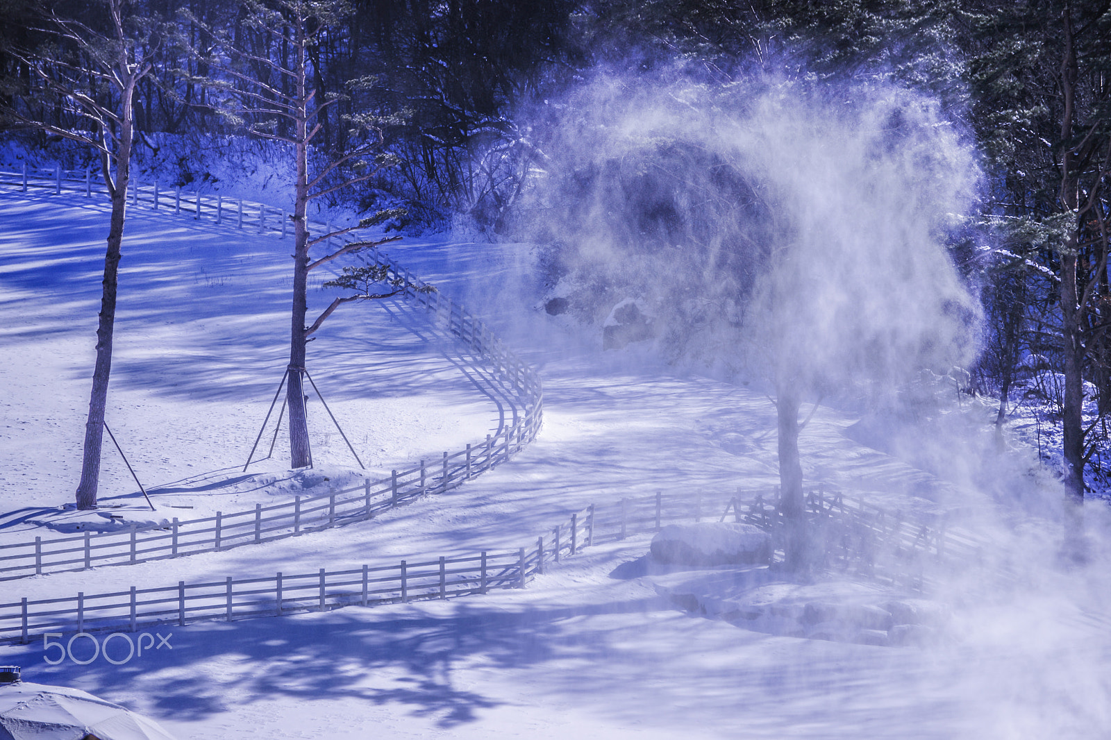 Sony 70-300mm F4.5-5.6 G SSM sample photo. Windy snow photography