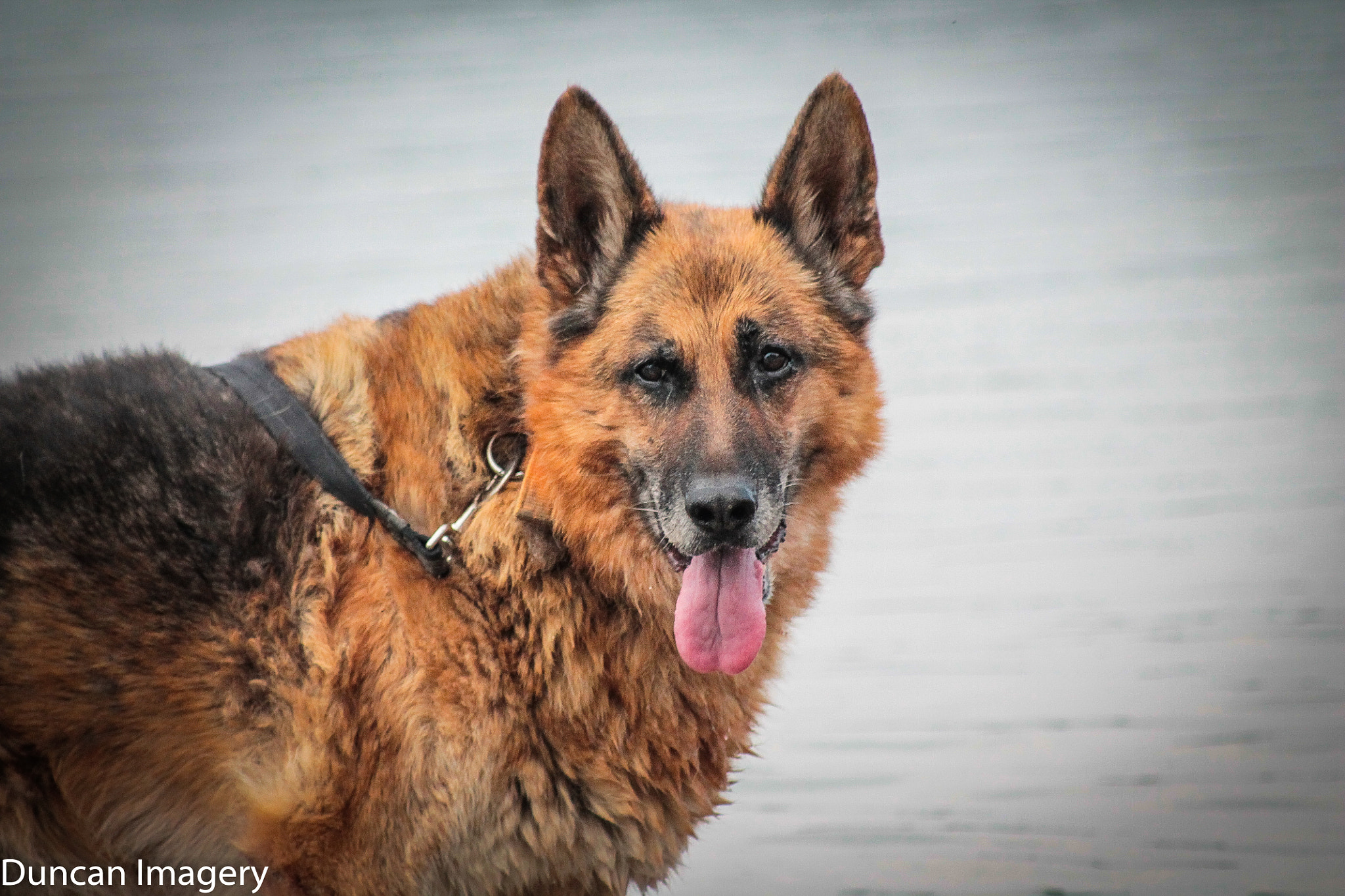 Canon EF 80-200mm F4.5-5.6 II sample photo. Rush photography