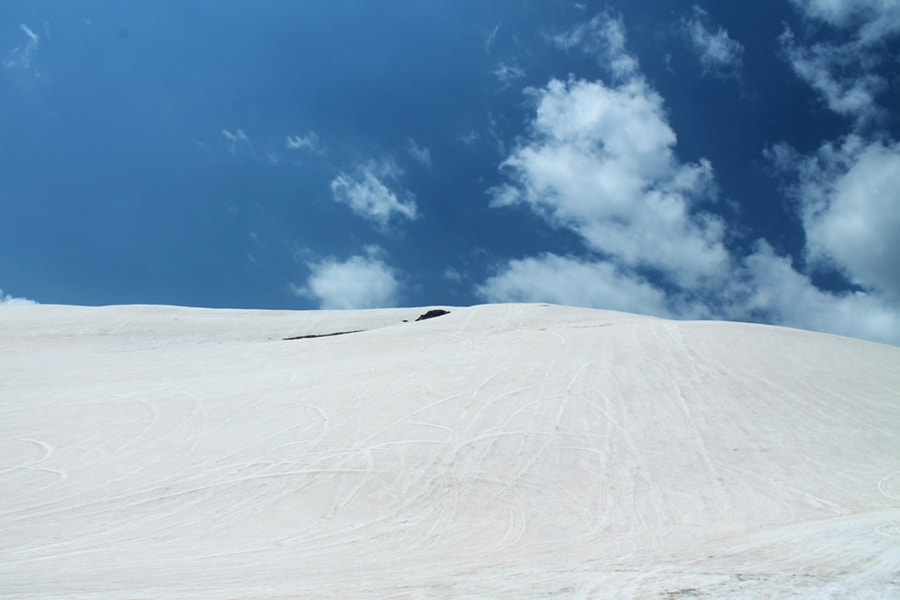 Canon EF-S 60mm F2.8 Macro USM sample photo. Lebanon - faraya photography