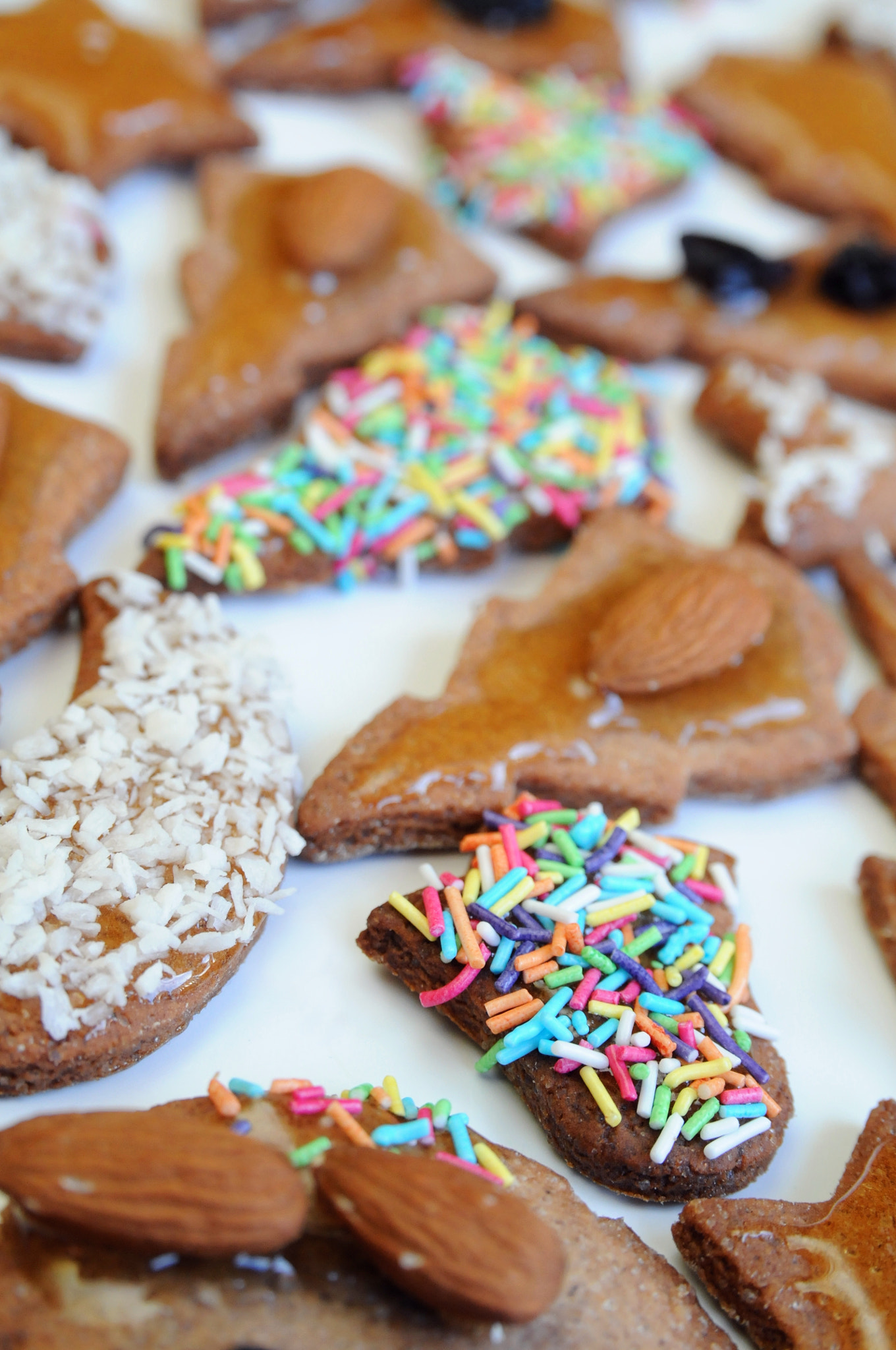 Sigma 18-50mm F2.8 EX DC Macro sample photo. Christmas cookies photography