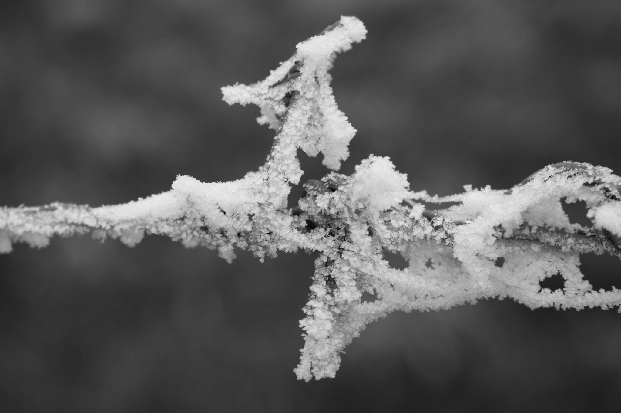 Canon EF 24-105mm F3.5-5.6 IS STM sample photo. Frozen photography