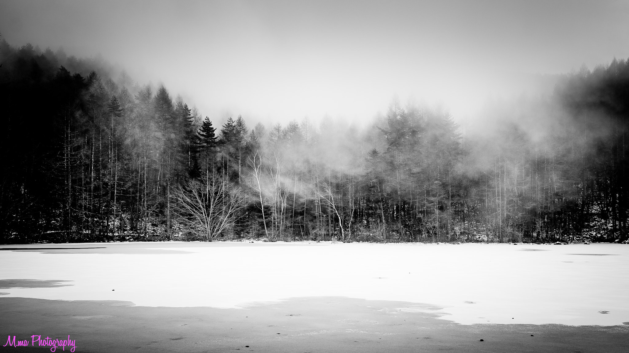 Sony a7S sample photo. Birch and pond photography