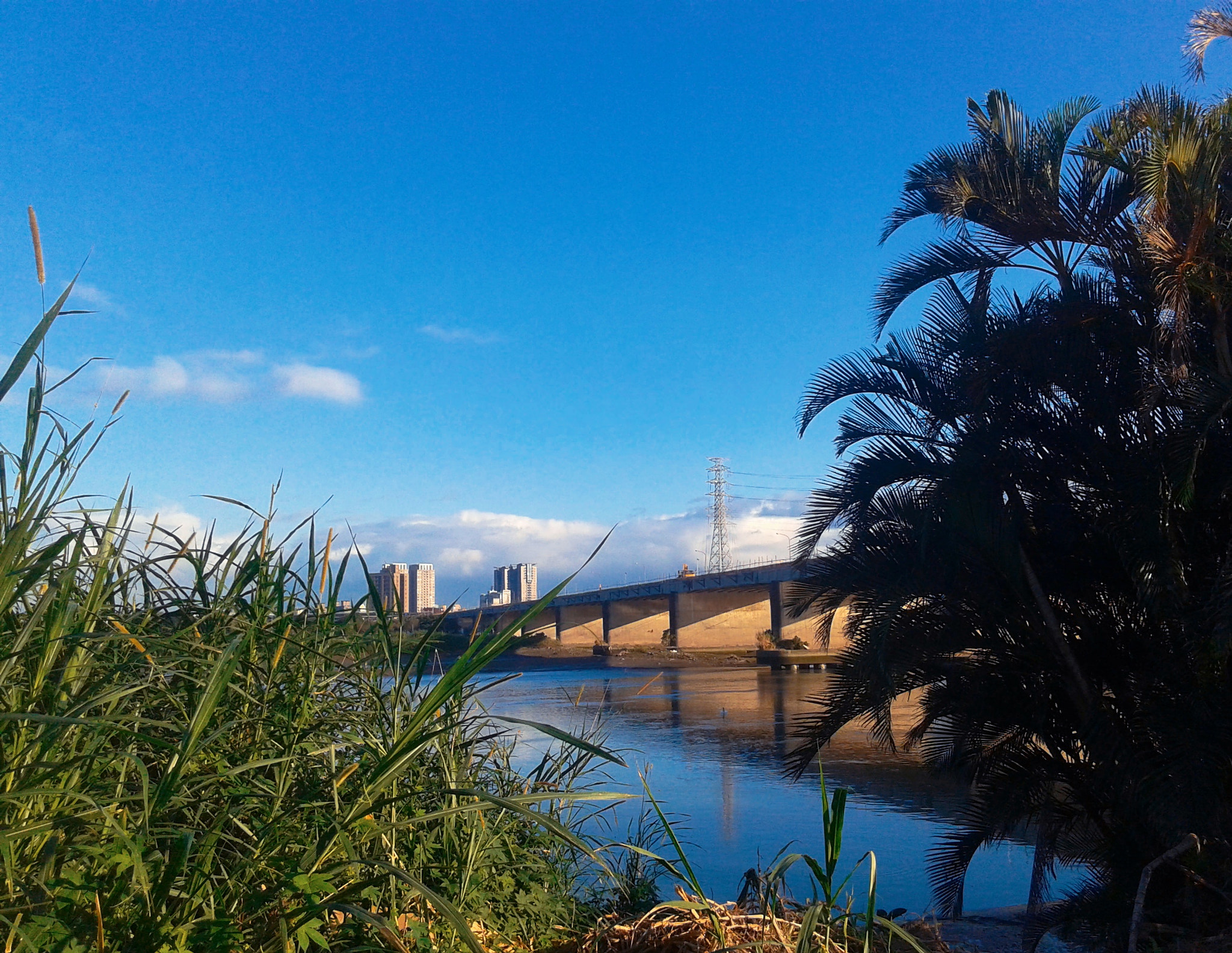Samsung Galaxy Core sample photo
