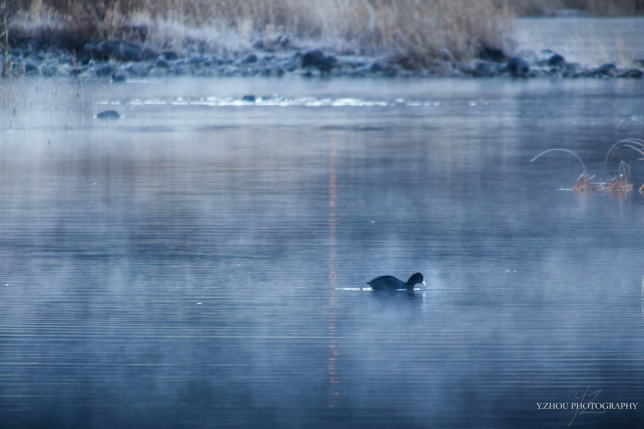 Canon EOS 60D sample photo. Morning fog photography