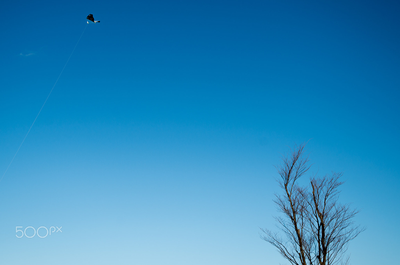 Pentax K-01 sample photo. Kite flying photography