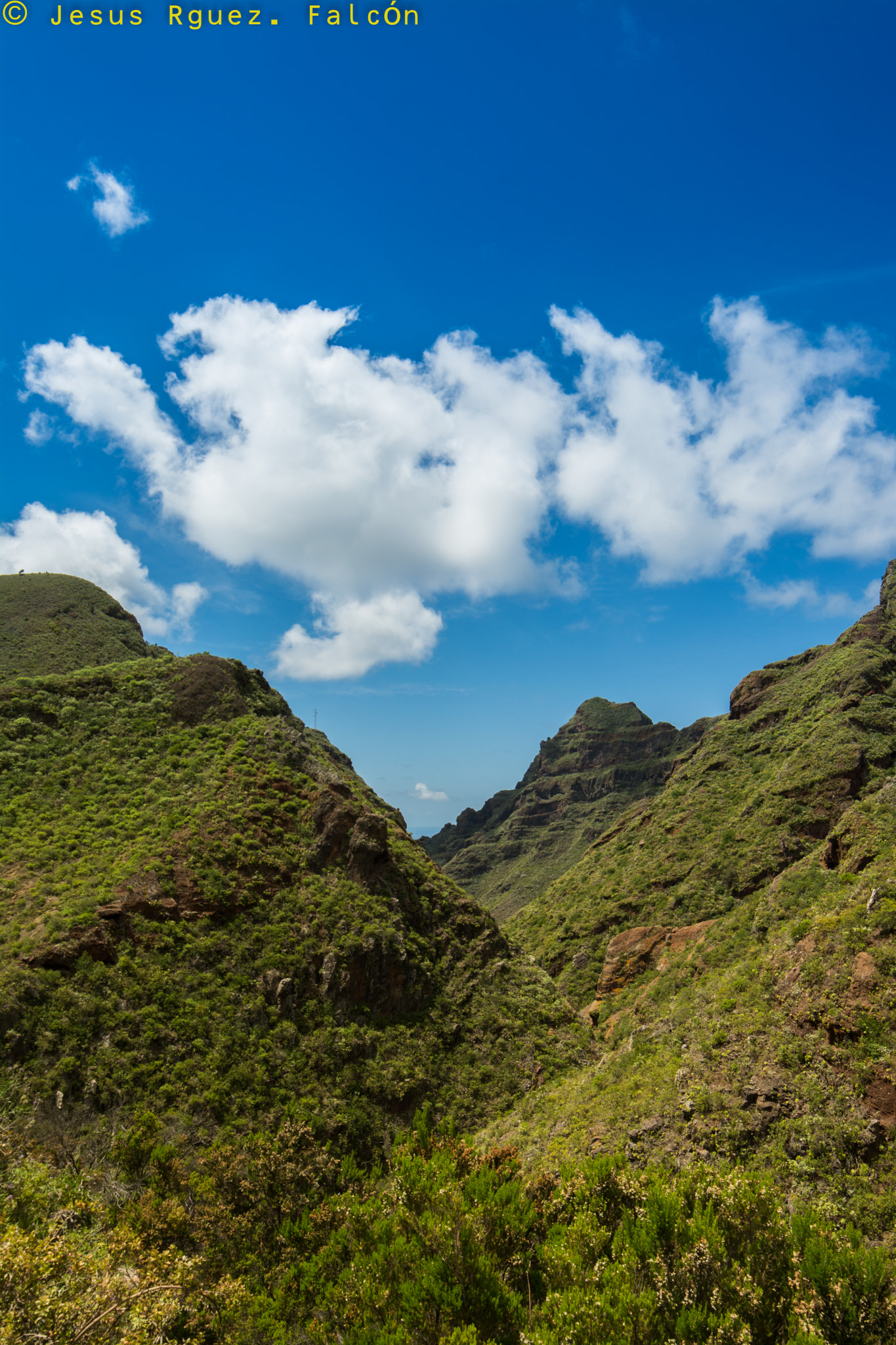 Samyang 14mm F2.8 ED AS IF UMC sample photo. Anaga natural paradise photography
