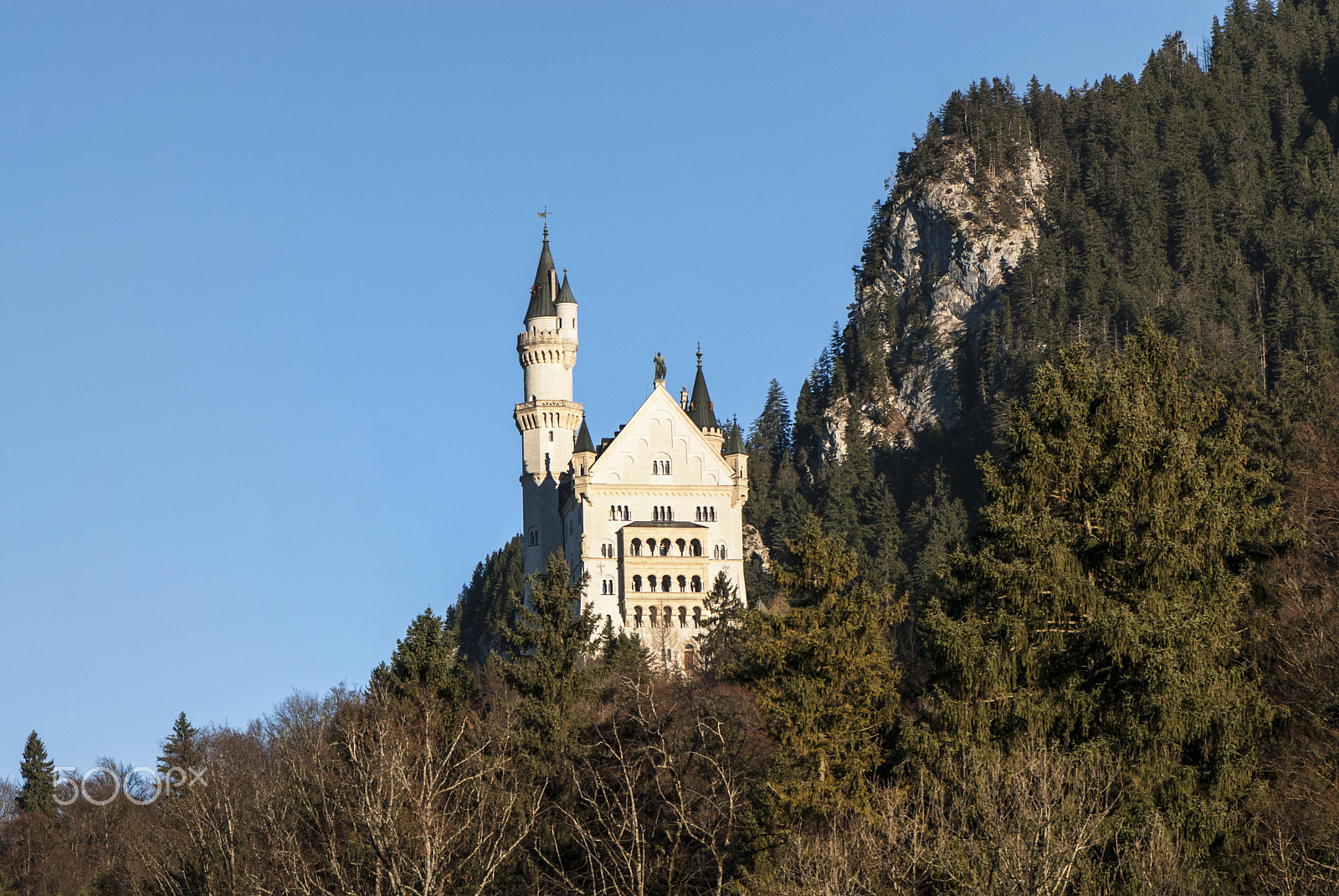 Nikon AF-S Micro-Nikkor 105mm F2.8G IF-ED VR sample photo. Neuschwanstein photography