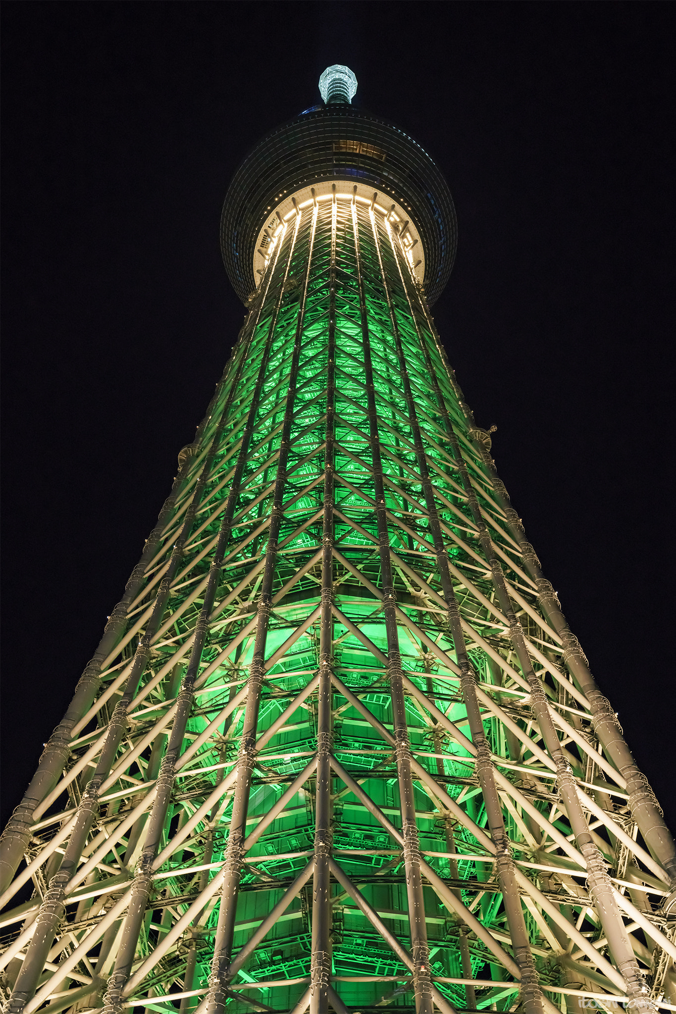 Sony a7R II + Sigma 50mm F1.4 DG HSM Art sample photo. Tokyo skytree / champagne tree photography