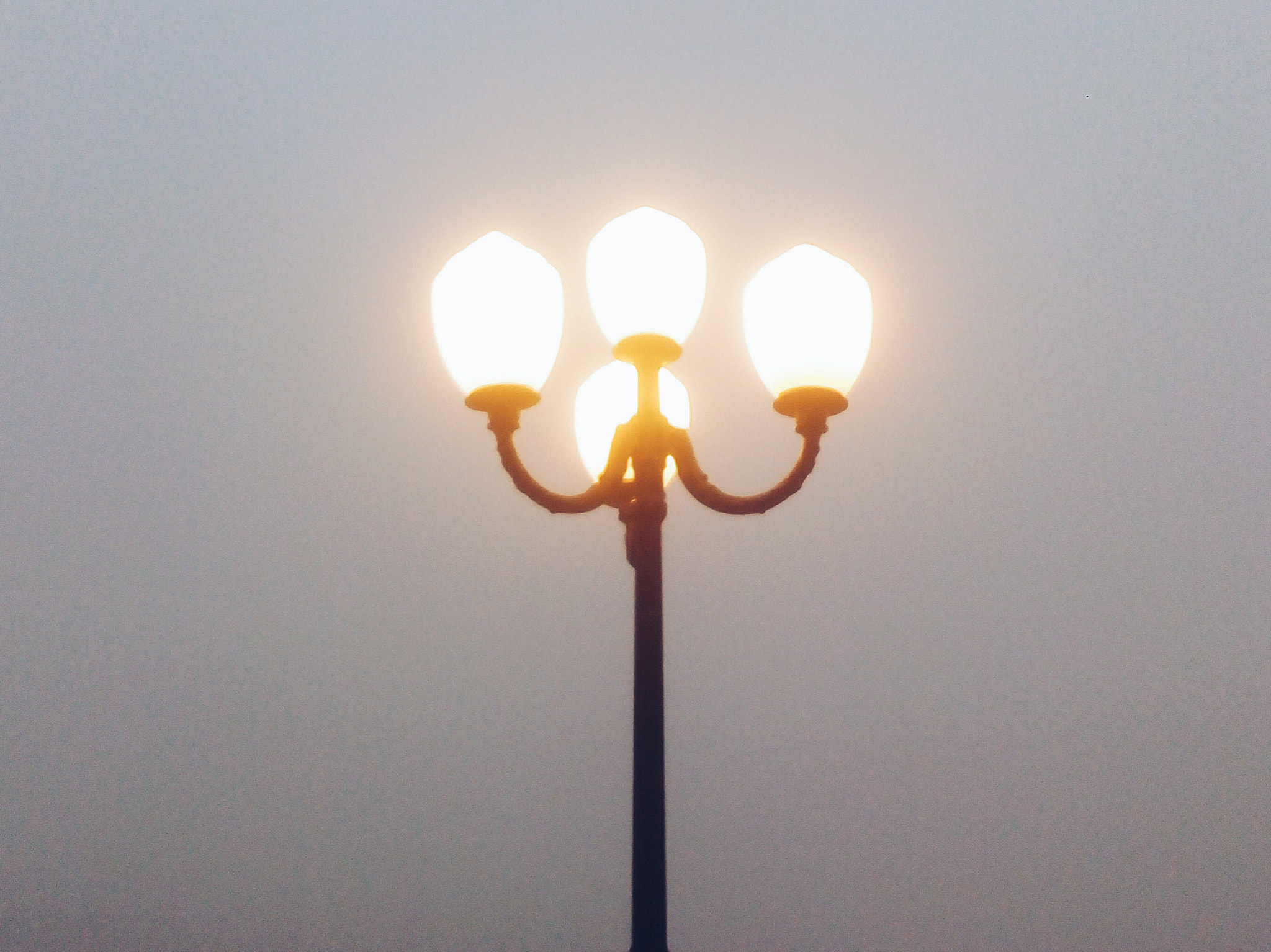 Lenovo P70-A sample photo