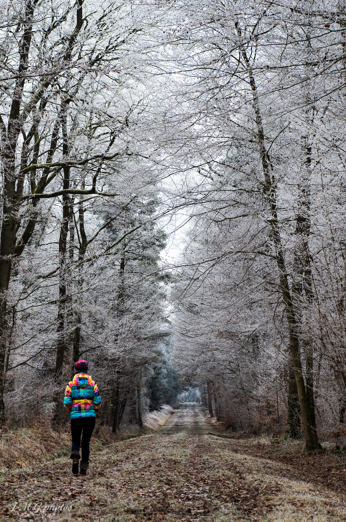 Pentax K-30 sample photo. En fôret. photography