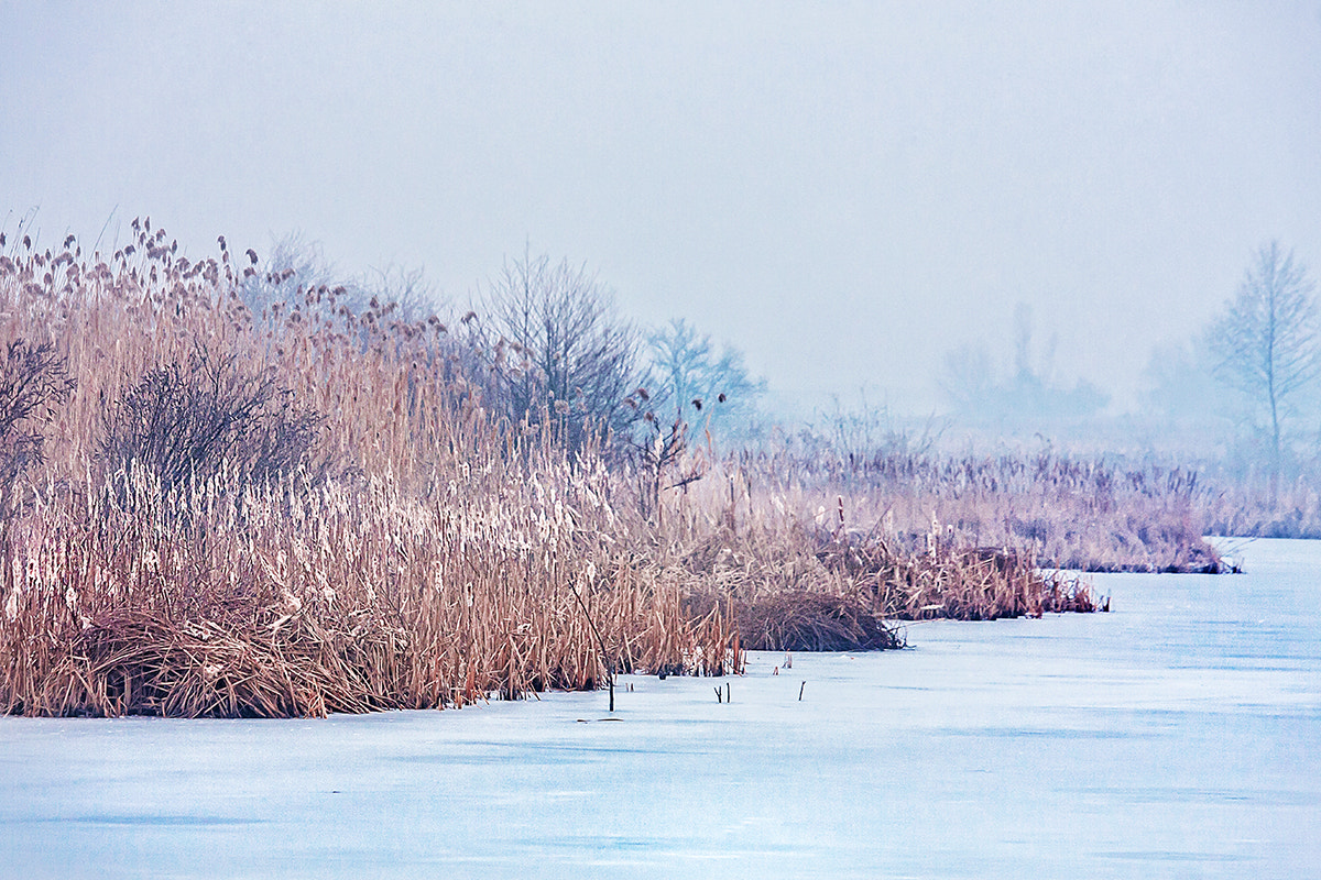 Canon EF-S 55-250mm F4-5.6 IS STM sample photo. Frozen places photography