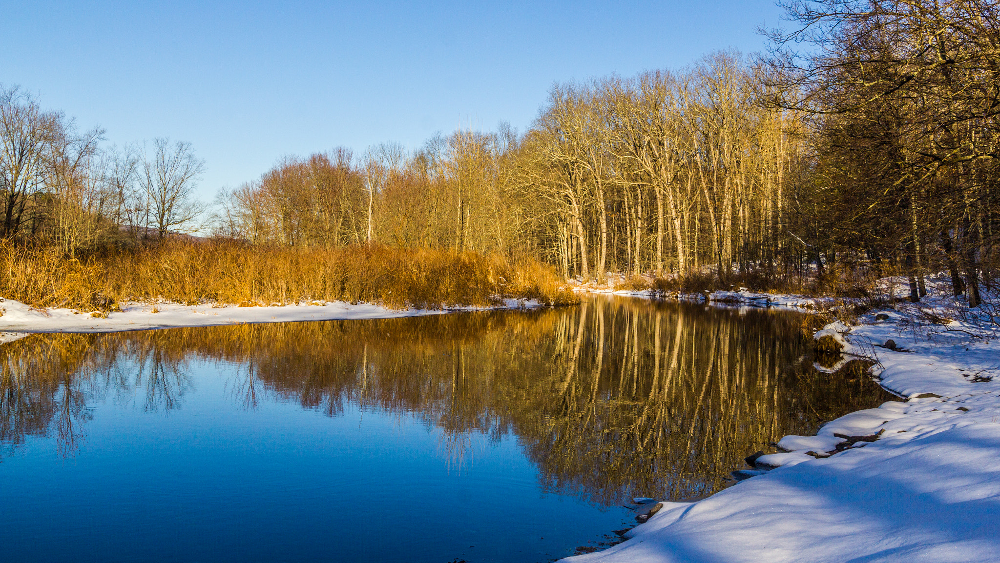 Canon EF-S 10-22mm F3.5-4.5 USM sample photo. Reflections on the basher kill photography