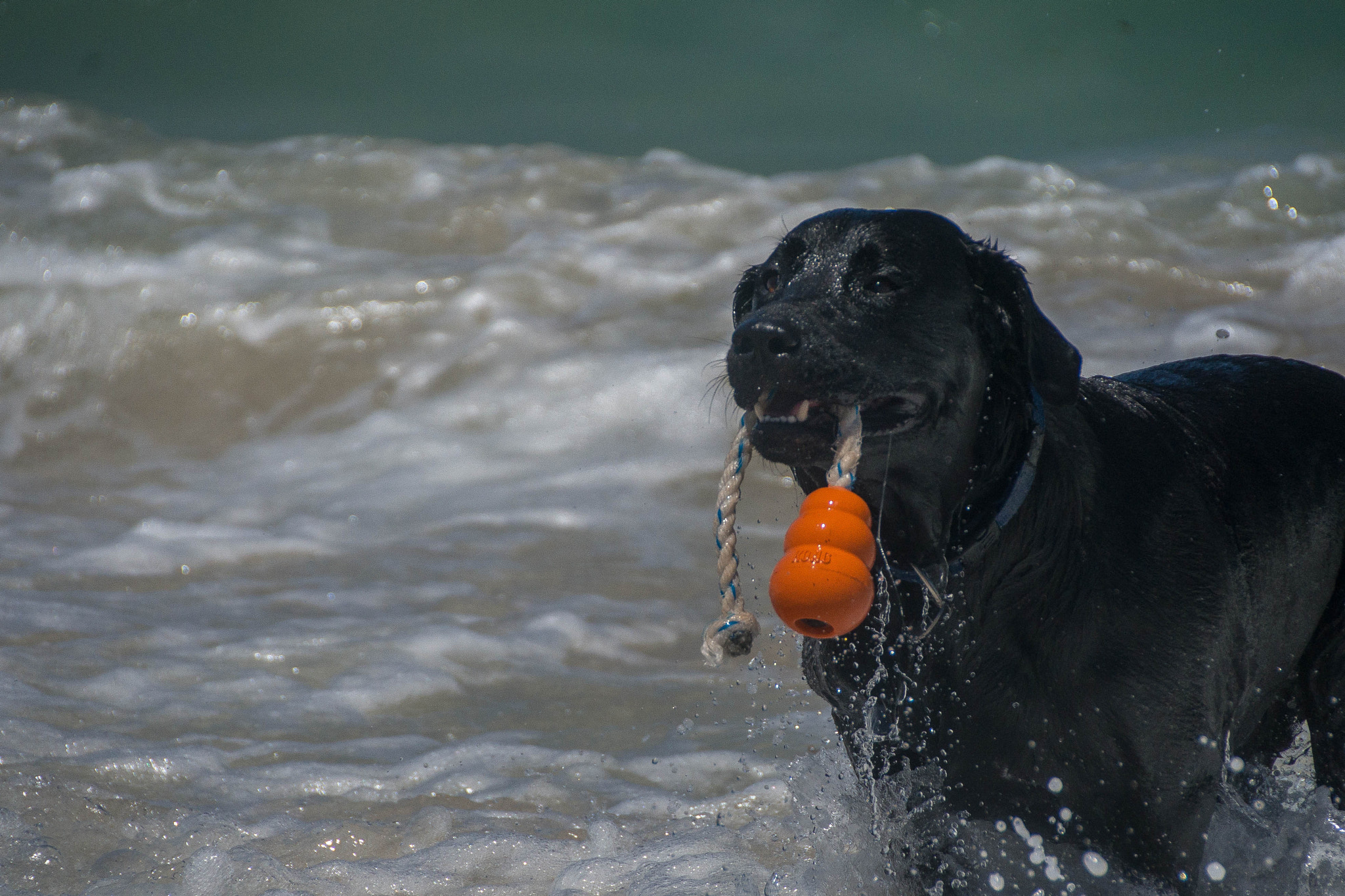 Sony SLT-A99V sample photo. Dsc photography