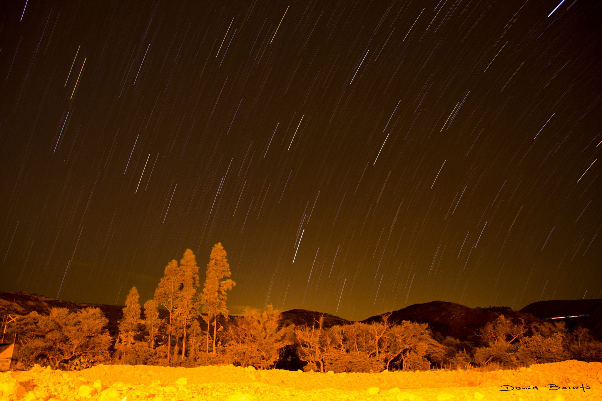 Sigma 18-200mm F3.5-6.3 DC OS HSM sample photo. Nocturna photography