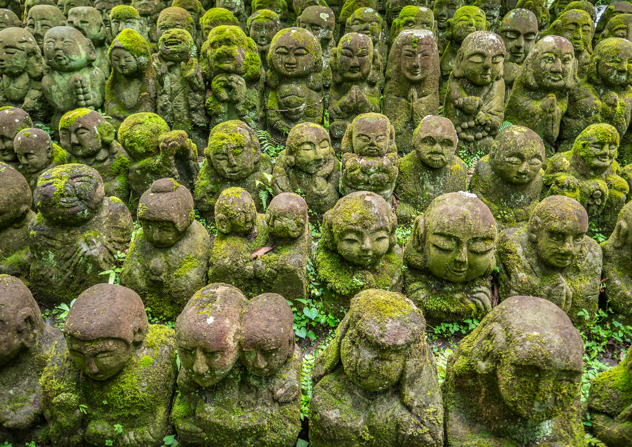 Olympus OM-D E-M10 + OLYMPUS M.12mm F2.0 sample photo. Otagi nenbutsu-ji photography