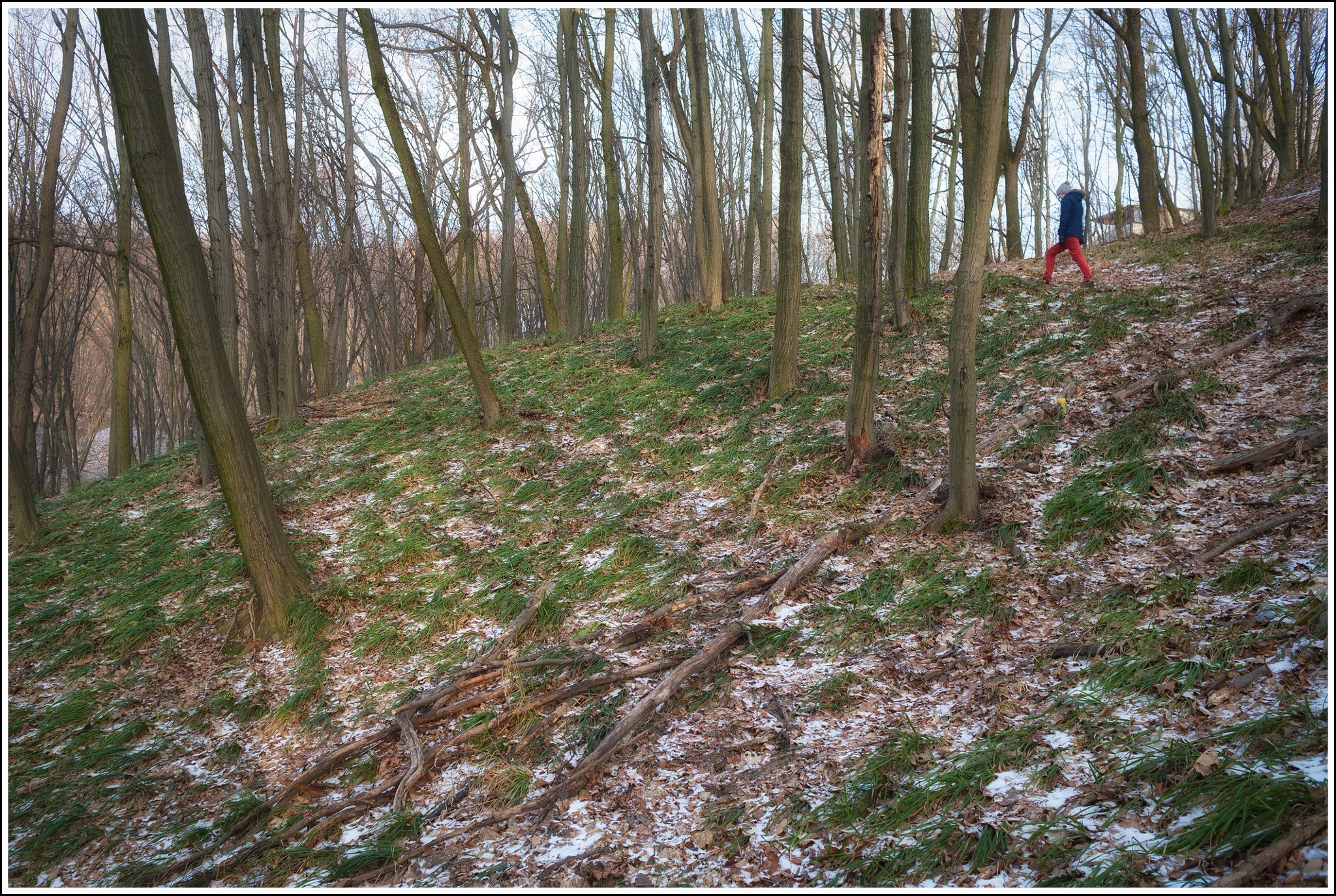 Canon EF 28-80mm f/3.5-5.6 sample photo. Wintersummer photography